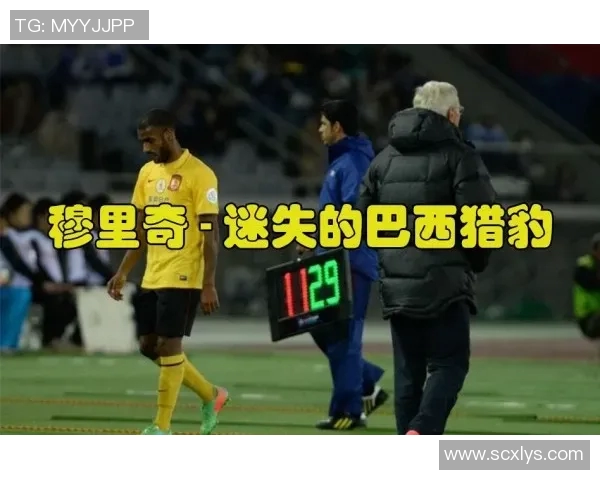 深圳网球队状态揭秘：网球巨献背后的训练与挑战