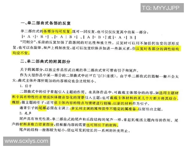武汉排球队在欧锦赛中的技术表现分析与点评