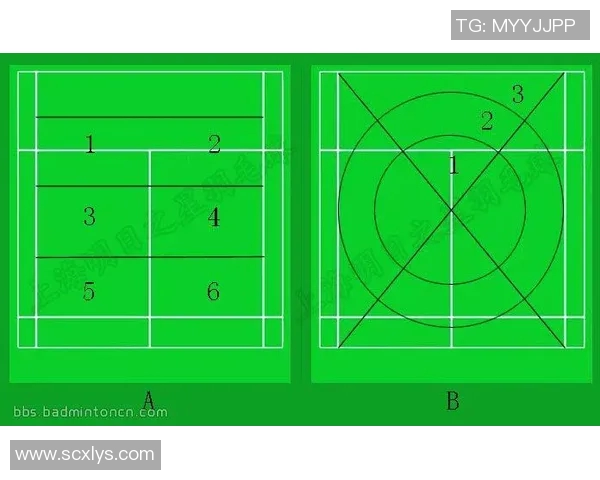 深入分析杭州羽毛球队控制打法的战术特点与应用策略